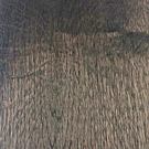 CP Simply Oak Collection Dark Oak Natural Oiled