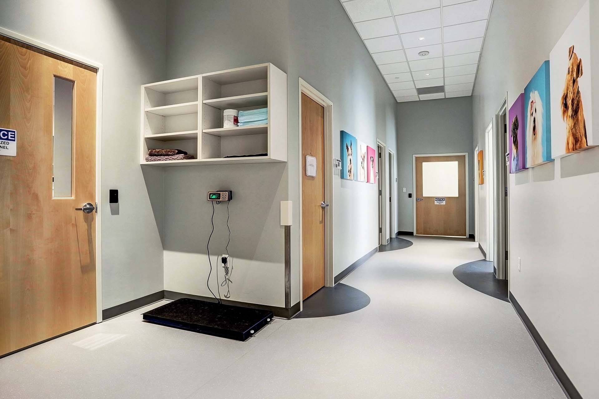 Altro flooring in hospital